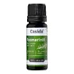 Casida rosemary oil natural 10 ml