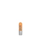 Isdin Protector Labial Lip Care SPF 30 4 g