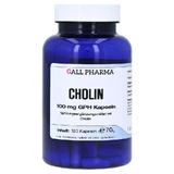 Choline 100 mg GPH Capsules 120 Capsules