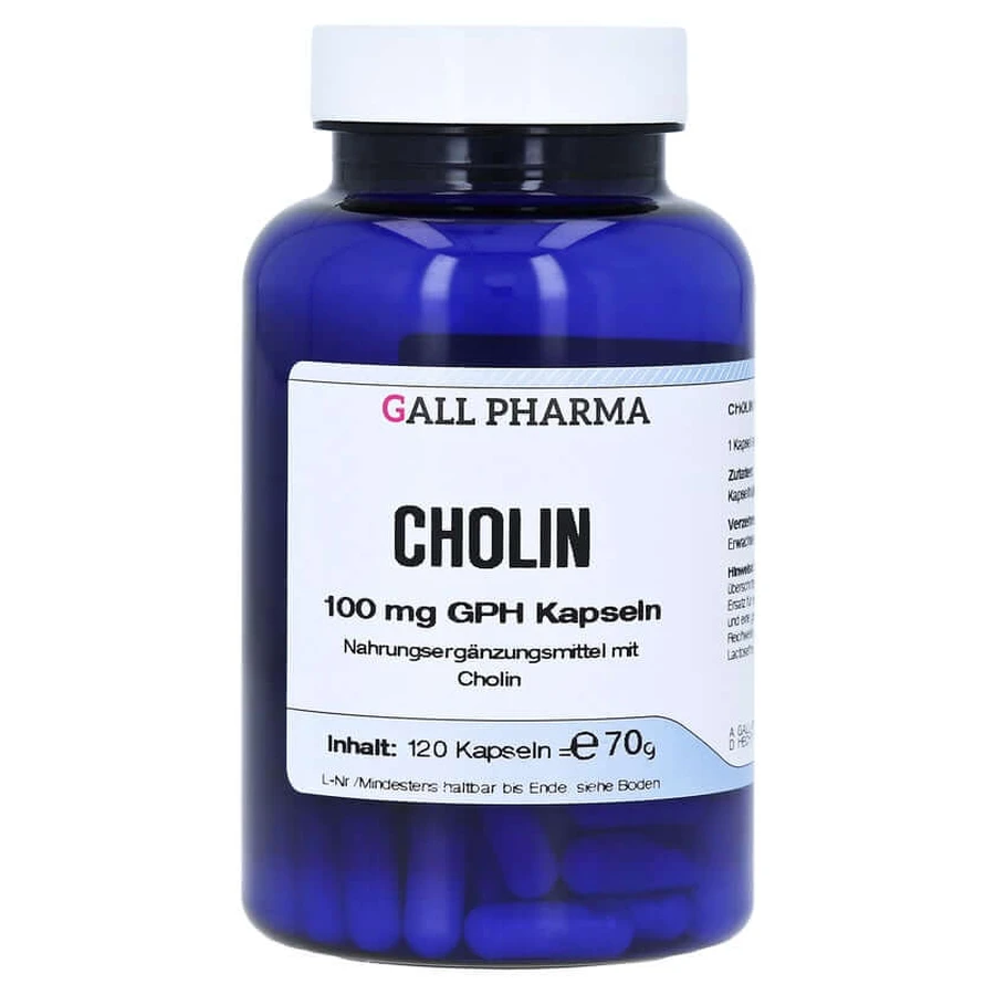 Cholin 100 mg GPH Kapseln 120 St