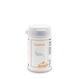 Colostrum Kapseln 60 St