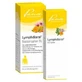 Lymphdiaral base drops + DS ointment 1 set