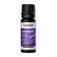 Casida Lavender Oil natural 10 ml