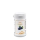 Druivenpitextract OPC capsules 60 Capsules