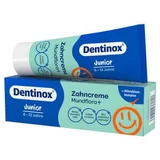Dentinox Zahncreme Mundflora Junior 75 ml