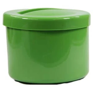 Denture case with lid and insert green 1 pc