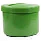 Denture case with lid and insert green 1 pc