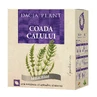 Horsetail, 50 g, Dacia Plant