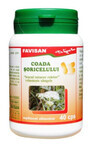 Mousetail, 40 capsules, Favisan