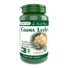 Leeuwenman, 60 capsules, Pro Natura