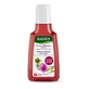 Rausch Volume shampoo with mallow 40 ml
