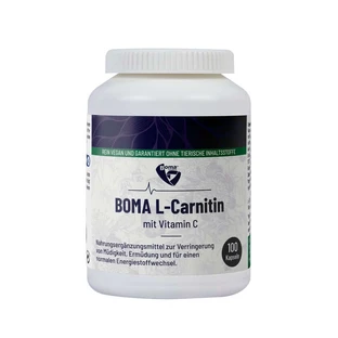 L-Carnitin 100 St