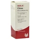 Citrus Oleum Äthereum 10% 100 ml