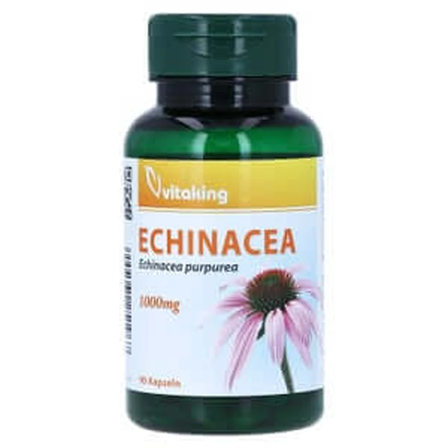 Echinacea 1000 mg capsules 90 Capsules