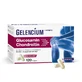 GELENCIUM Glucosamine Chondroitin 120 St