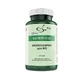Andrographis 400 mg capsules 60 Capsules