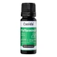 Casida peppermint oil natural 10 ml