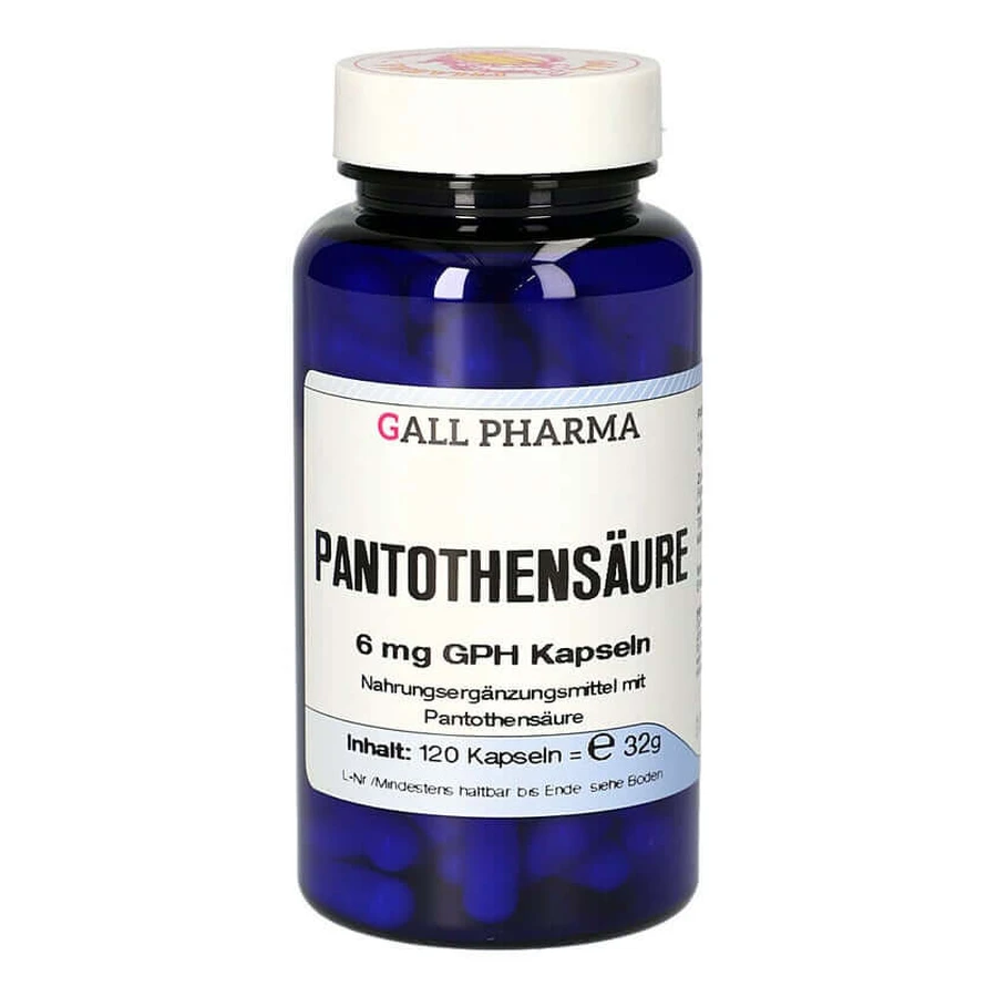 Pantothensäure 6 mg GPH Kapseln 120 St