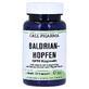Valeriana Lúpulo GPH Cápsulas 50 Cápsulas