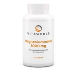 Vitaworld Magnesium malate 1000 mg 120 St