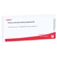Fasciculus Atrioventricularis GL D 5 Amp 10X1 ml