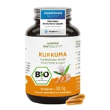 Strongest Organic Turmeric Capsules, 15.000mg Curcuma, Phytholstic 60 Capsules