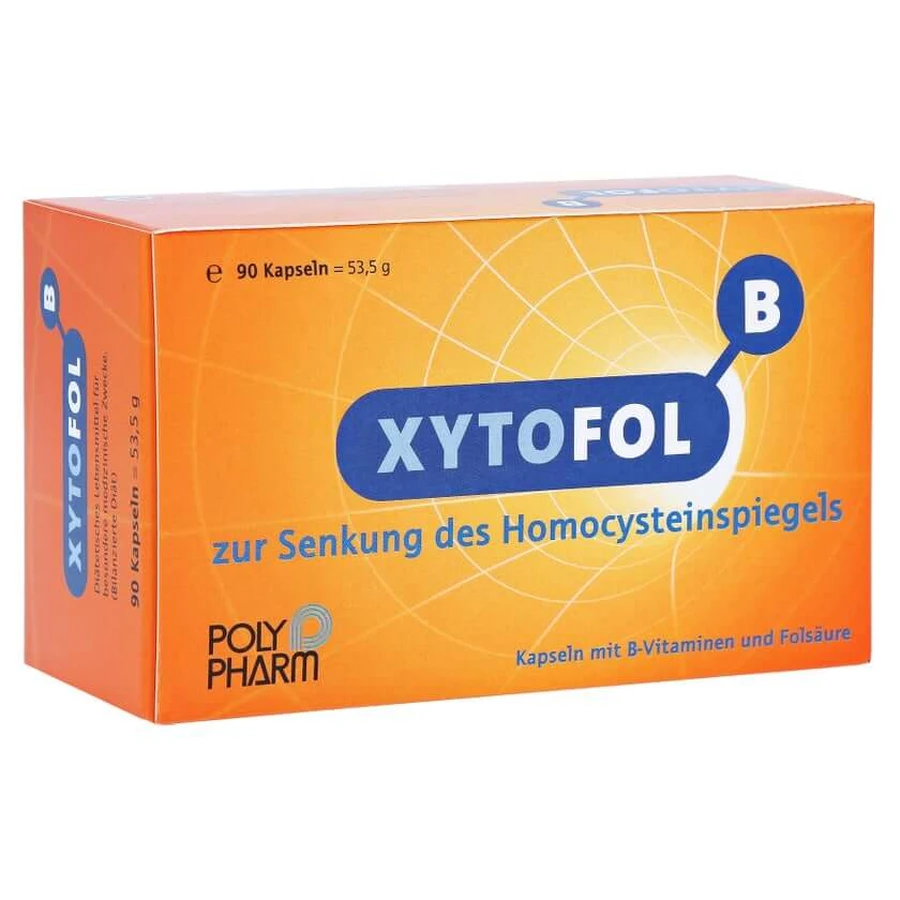 XYTO Fol B Capsules 90 Capsules