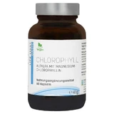 Chlorophyll Kapseln 60 St
