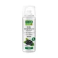 RAUSCH SHAMPOOO SEC Frais 50 ml