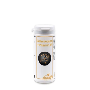 Gelenkosan + Vitamin E Tablets 90 St
