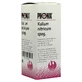 Phönix Kalium Nitricum spag.Mischung 100 ml