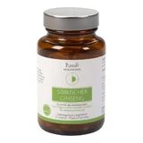 Sibirischer Ginseng Hochdosiert vegan Kapseln 60 St