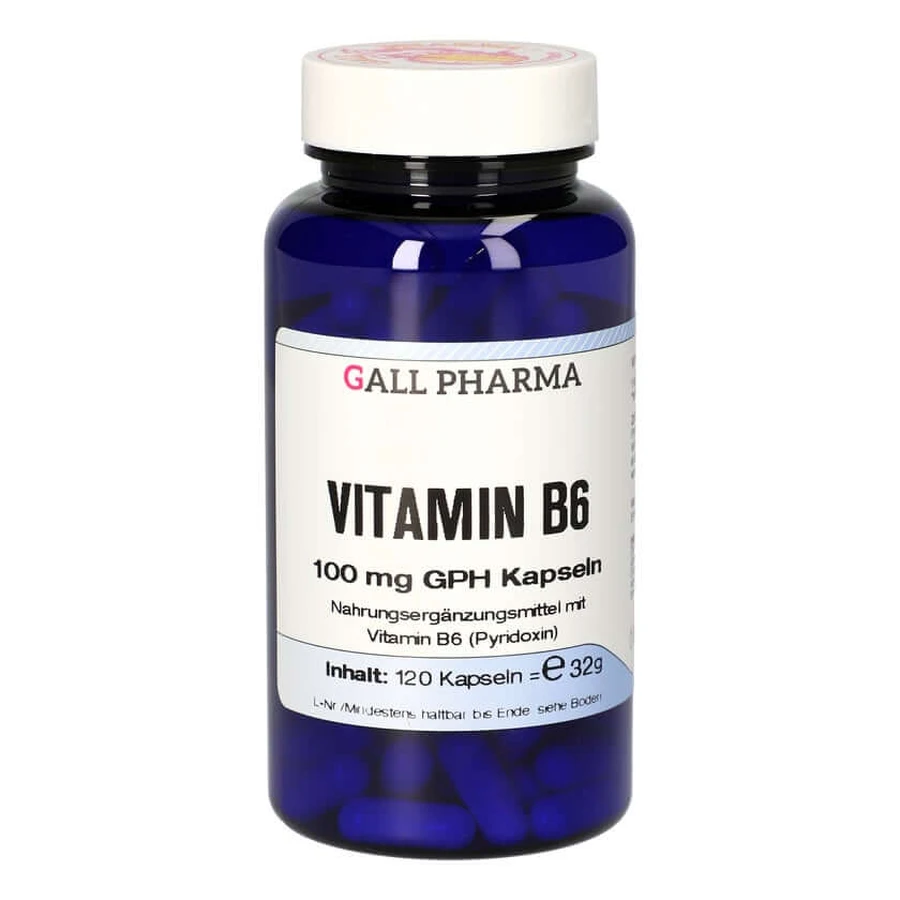 Vitamin B6 100 mg GPH Capsules 120 Capsules
