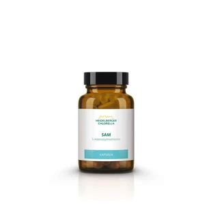 SAM S-adénosylméthionine gélules 60 gélules