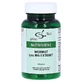 Ajenjo 500 mg extracto cápsulas 60 Cápsulas