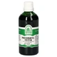 Lady's mantle drops 100 ml