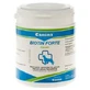Biotin Forte powder vet. 500 g