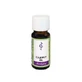 Cajeput Oil Essential 10 ml
