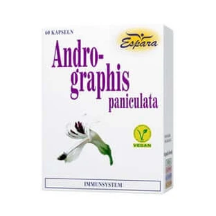 Andrographis Paniculata Capsules 60 Capsules