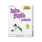 Andrographis Paniculata Capsules 60 Capsules