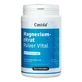 Casida Citrato de Magnesio en Polvo Vital 200 g