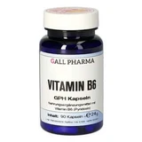 Vitamina B6 GPH Capsule 90 Capsule