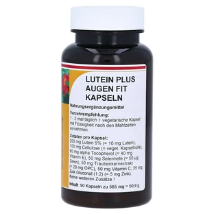 Lutein PLUS Augen Fit Kapseln 90 St