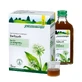 Bärlauch SAFT Schoenenberger Heilpflanze 3X200 ml