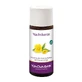Olio di enotera BIO 50 ml