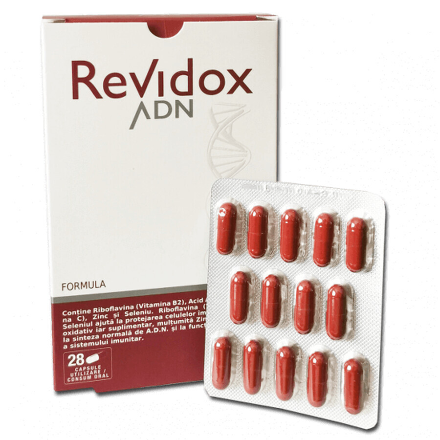 Comprar Revidox DNA, 28 cápsulas, Actafarma Revidox DNA, 28 cápsulas, Actafarma