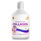 Hidrolizado fluido de colágeno tipo 1 y 3 (10000 mg), 500 ml, Swedish Nutra