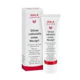 Silicea colloidalis comp. Skin gel 30 g