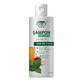 Shampoo 99.5% vegetable with apple and nettle vinegar, 200 ml, Ceta Sibiu