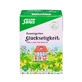 Farmer's garden tea Glückseligkeit Früchtet 15 St